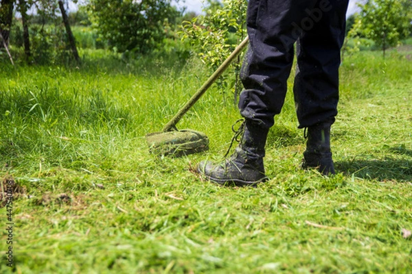 Fototapeta A man mows the grass with a gasoline trimmer. Close-up with selective focus.