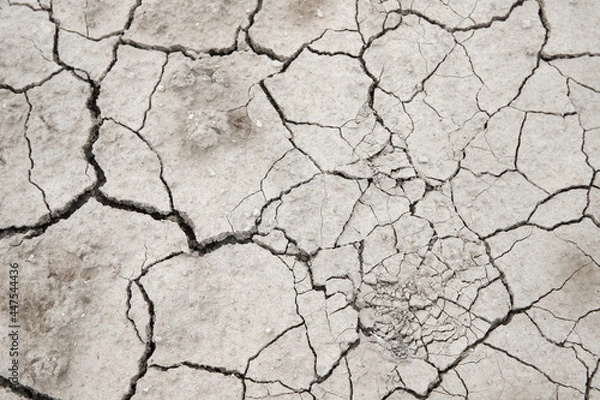 Obraz cracked earth texture