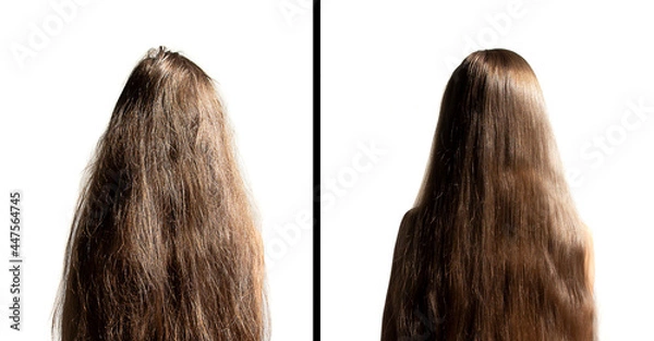 Fototapeta on a white background female head with long hair. before and after using a special shampoo. obedient hair concept
