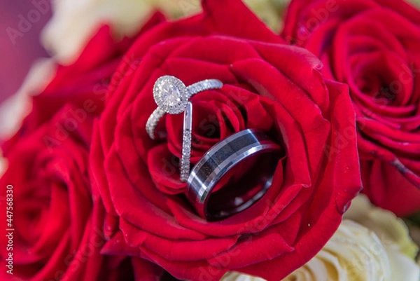 Obraz wedding rings on red rose