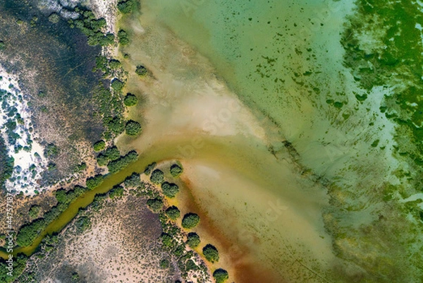 Obraz Abstract aerial view of blue-green water in shifting red deposition of sediment gradually moving through alluvial plains of Francois Peron National Park in Western Australia.