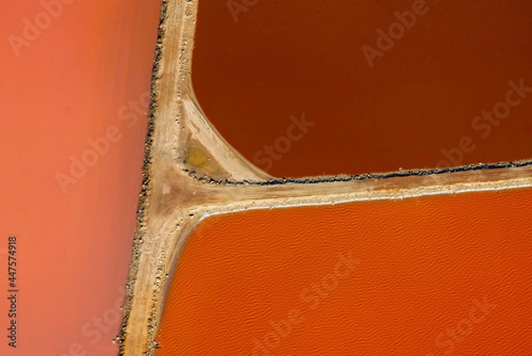 Obraz Hutt Lagoon contains the world's largest microalgae production. These artificial salt ponds are used to farm Dunaliella salina, which is a source of beta-carotene; a food-coloring agent, and pigment.