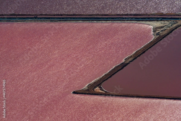 Obraz Hutt Lagoon contains the world's largest microalgae production. These artificial salt ponds are used to farm Dunaliella salina, which is a source of beta-carotene; a food-coloring agent, and pigment.