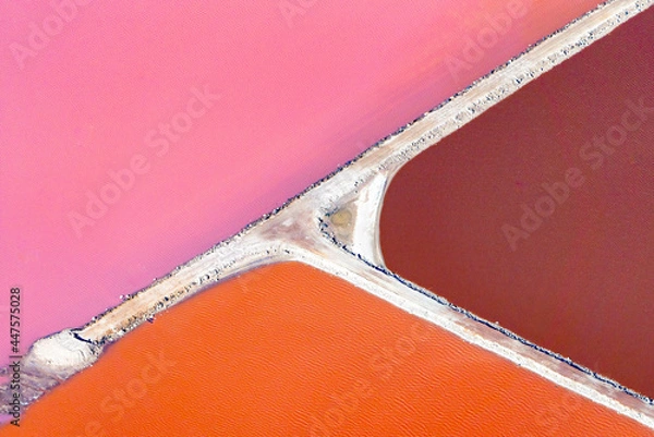 Obraz Hutt Lagoon contains the world's largest microalgae production. These artificial salt ponds are used to farm Dunaliella salina, which is a source of beta-carotene; a food-coloring agent, and pigment.