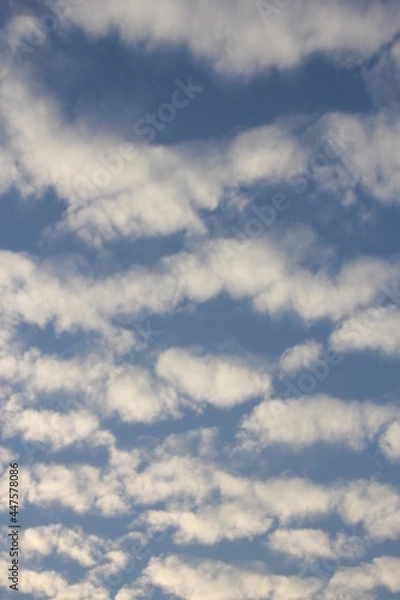 Obraz cloud in the sky light smooth