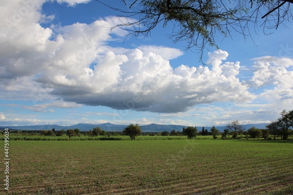 Obraz Siembra (Valle)