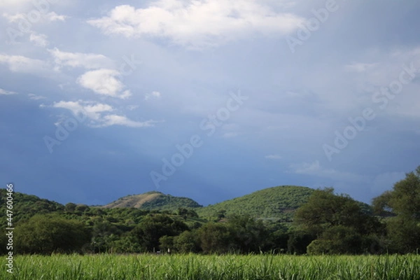 Obraz Cerros Jaliscience