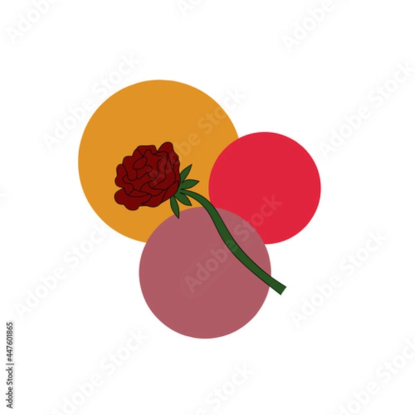 Fototapeta A vector of red roses that looks beautiful