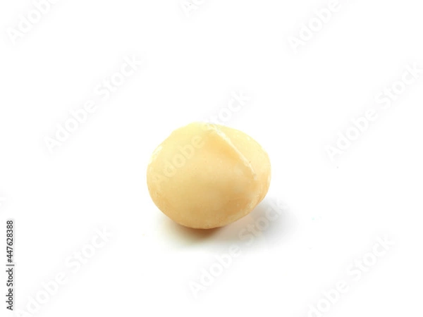 Fototapeta macadamia nut single