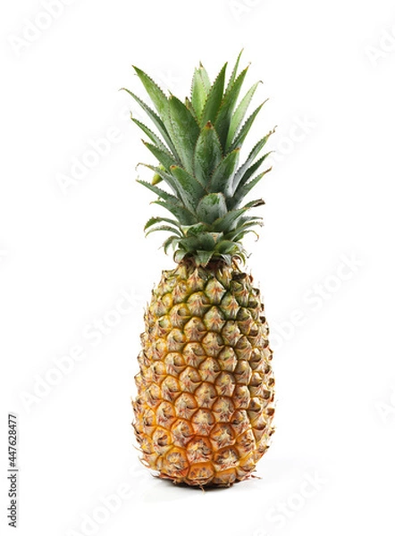 Fototapeta pineapple single fruit