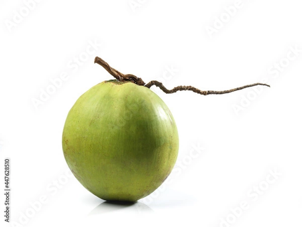 Fototapeta coconut single fruit