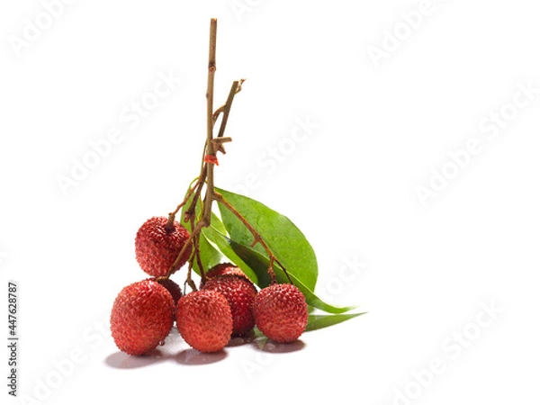 Fototapeta bunch of lychee fruits