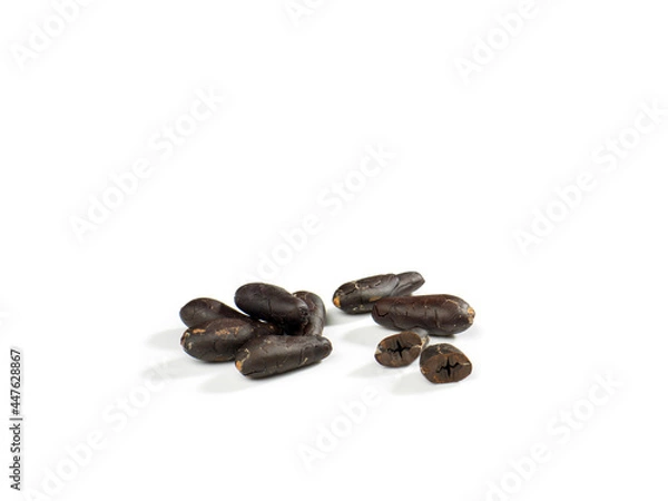 Fototapeta cocoa seed