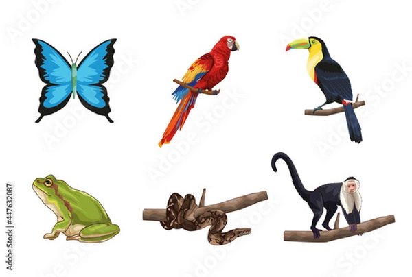 Obraz Cute and realistic jungle animals
