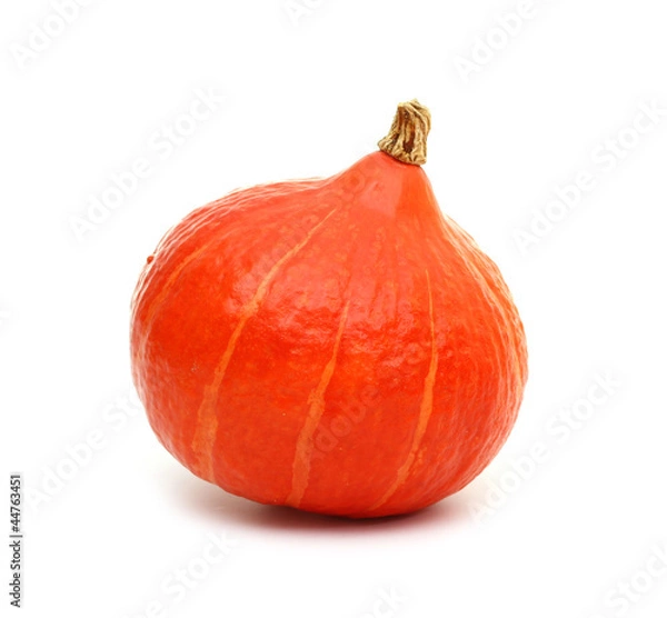 Obraz Hokkaidokürbis freigestellt