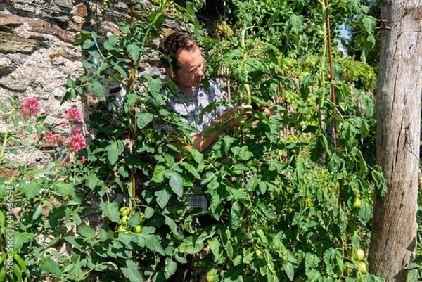 Obraz jardin de curé