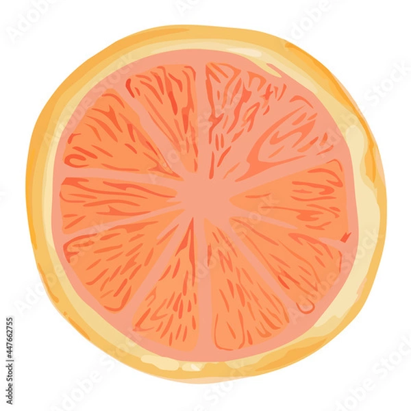 Fototapeta Isolated abstract illustration of an orange on a white background