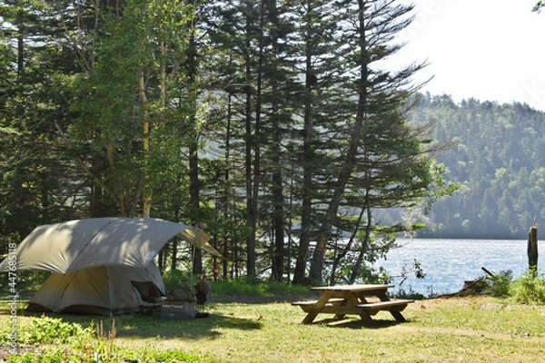Obraz 湖畔でキャンプ