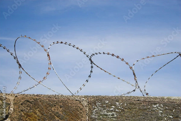 Obraz barbed wire