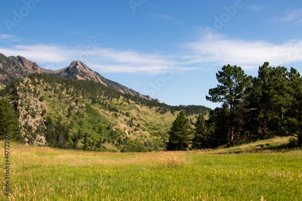 Obraz landscape in the mountains