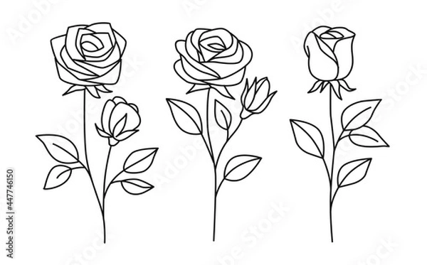 Fototapeta Line rose with leaves. Vector hand drawn set 