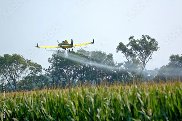 Obraz Low flying Crop Duster applying insecticide to the corn fields