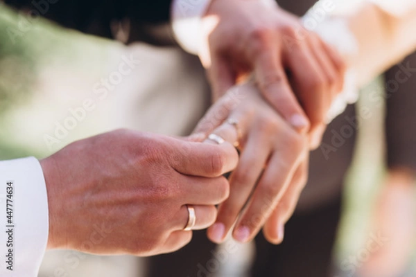 Fototapeta Wedding rings in the hands of the bride and groom.