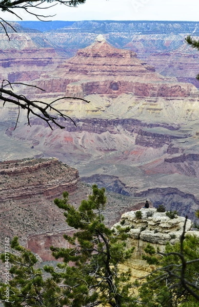 Obraz Grand Canyon