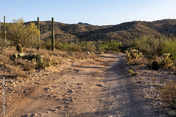 Fototapeta Desert Landscape with an Off-Road Trail