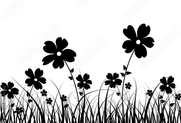 Fototapeta Grass and flower, vector
