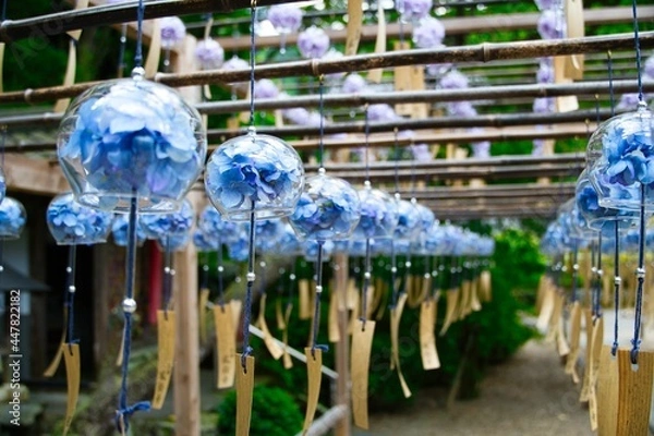 Fototapeta 風鈴まつり