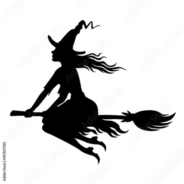 Obraz Witch on broom fly