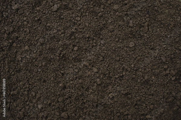 Obraz Soil texture