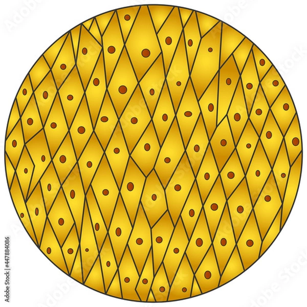 Obraz Onion skin cells under a microscope illustration