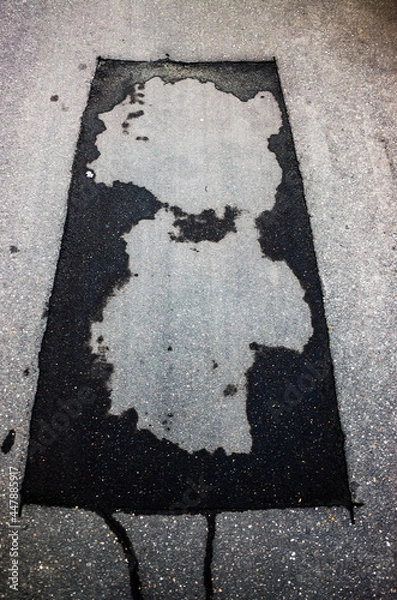 Fototapeta Wet spots on the gray asphalt in the form of a cartoon bear and a human head. It is two meanings in one form. Illustration of visual illusion - pareidolia.