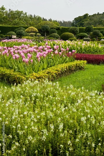 Obraz Flowers in the garden