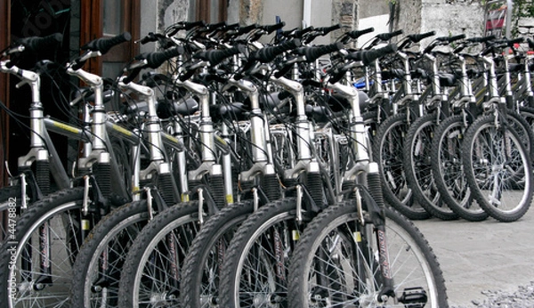 Obraz Wynajem rowerów