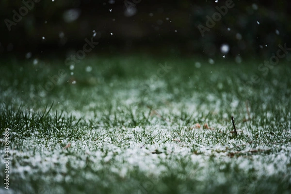 Obraz snowfall on the grass