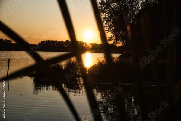 Obraz sunset on the lake