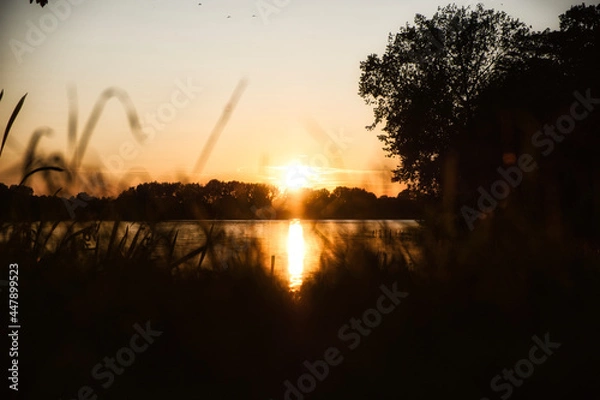 Obraz sunset on the lake