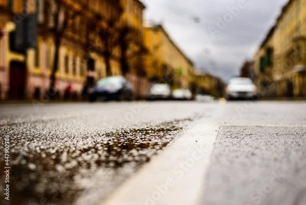 Fototapeta Rainy day in the big city, on an empty road there are parked cars. Close up view from the level of the dividing line