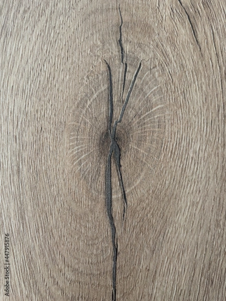 Fototapeta Słoje drewna