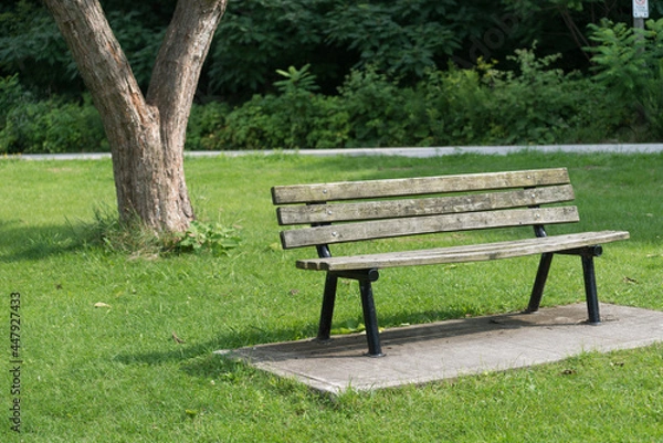 Obraz bench in the park