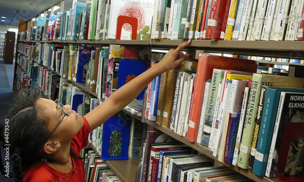 Fototapeta Finding A Book