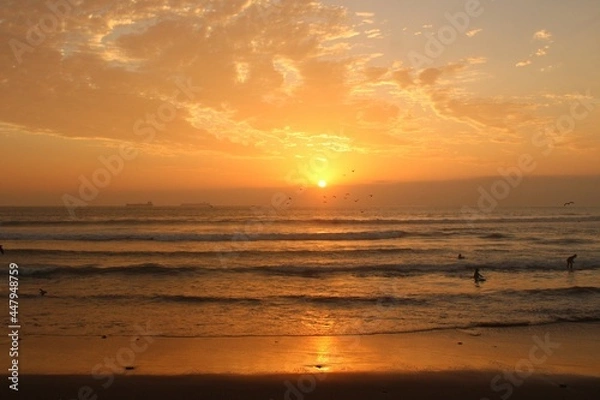 Obraz sunset on the beach