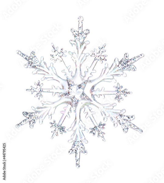 Obraz Snowflake