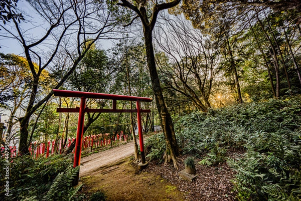 Fototapeta 吉五郎稲荷の赤鳥居
