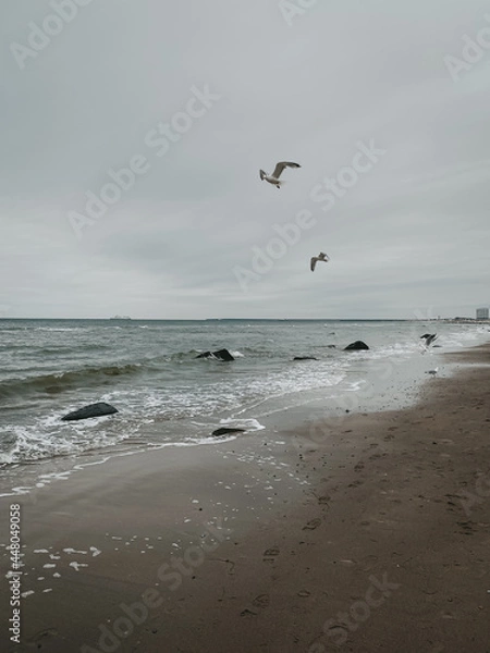 Obraz Möwen am Strand
