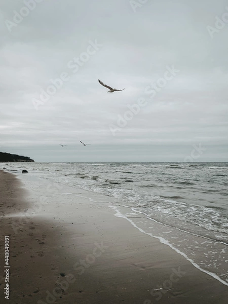Obraz Fliegende Möwen am Meer