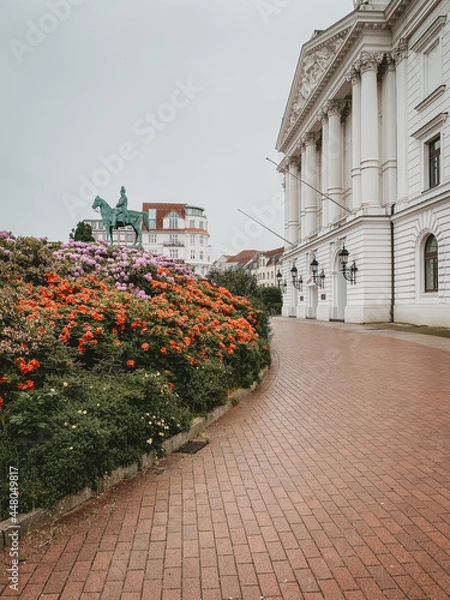 Obraz Rhododendronbüsche